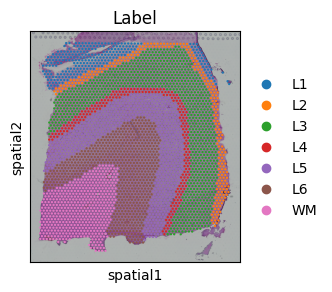 _images/Tutorial1_Single_DLPFC_5_0.png